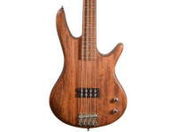 Ibanez Ibanez